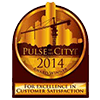 Pulse of the City Award - 2014