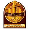 Pulse of the City Award - 2015