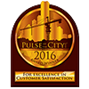 Pulse of the City Award - 2016