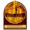 Pulse of the City Award - 2017