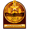Pulse of the City Award - 2018