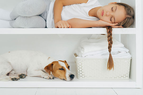 Pet Friendly Cabinetry